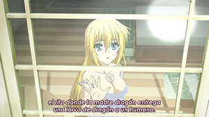 Seikoku no Dragonar (BD)